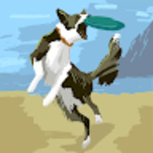 Meet your Posher, Miranda